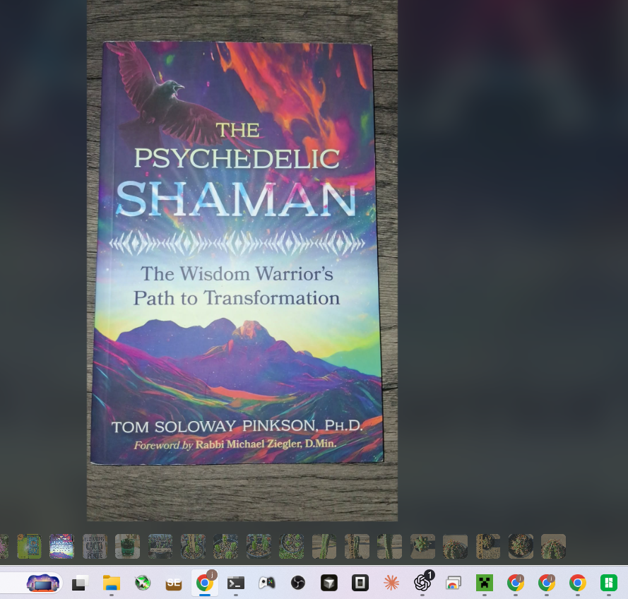 The Psychedelic Shaman by Tom Soloway Pinkson, from Josh's bookshelf